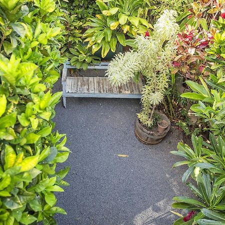 Nalu Kai Lodge Paia Hotel Eksteriør billede