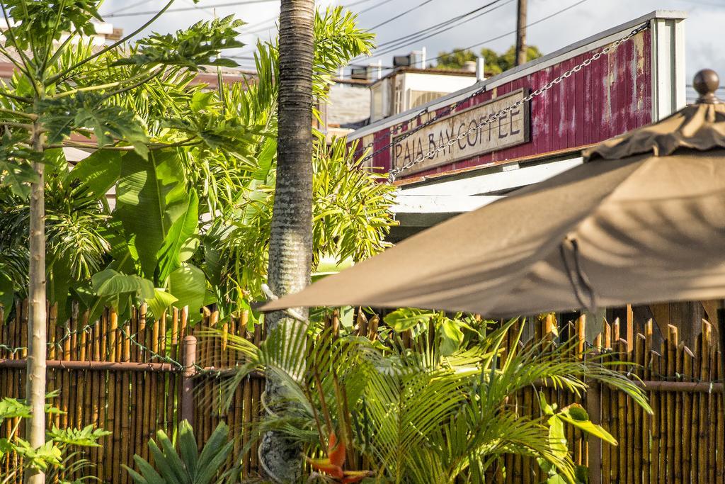 Nalu Kai Lodge Paia Hotel Eksteriør billede