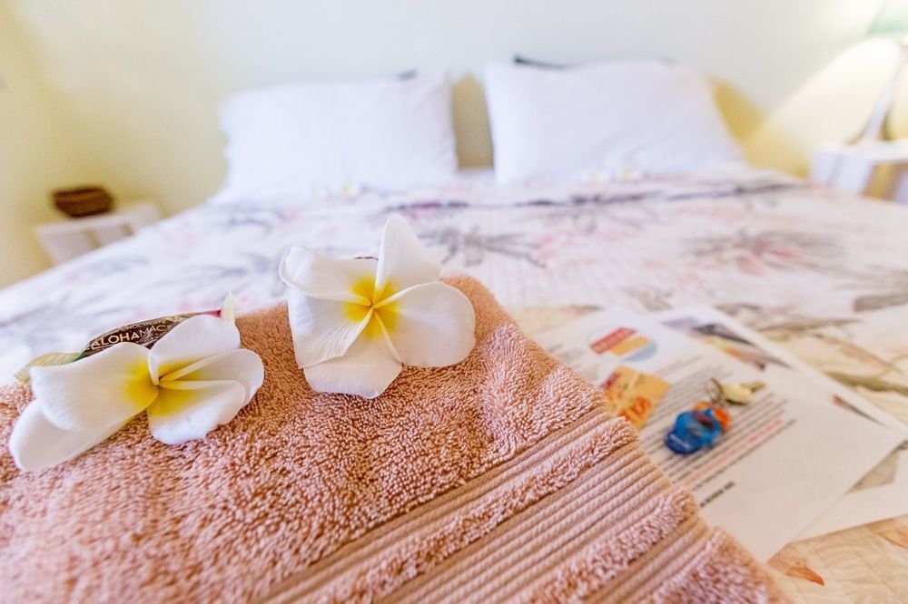 Nalu Kai Lodge Paia Hotel Eksteriør billede