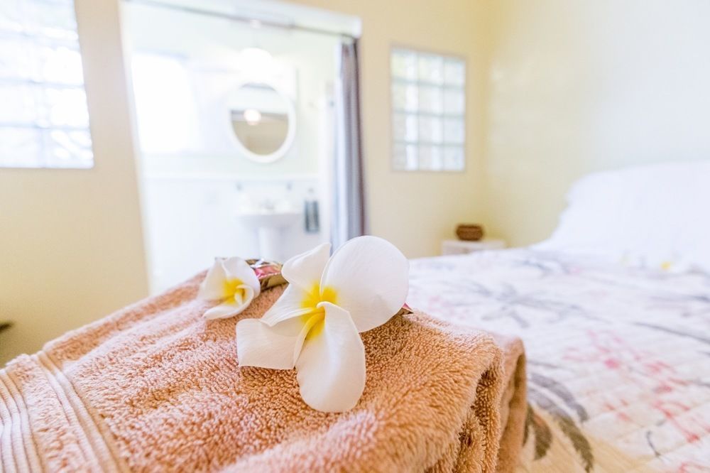 Nalu Kai Lodge Paia Hotel Eksteriør billede