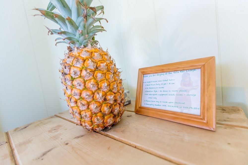 Nalu Kai Lodge Paia Hotel Eksteriør billede